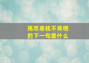 拣尽寒枝不肯栖的下一句是什么