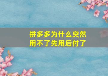 拼多多为什么突然用不了先用后付了