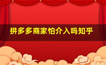 拼多多商家怕介入吗知乎