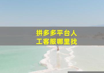 拼多多平台人工客服哪里找