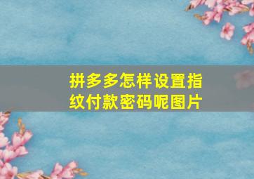 拼多多怎样设置指纹付款密码呢图片