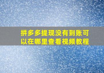 拼多多提现没有到账可以在哪里查看视频教程