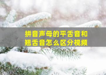 拼音声母的平舌音和翘舌音怎么区分视频