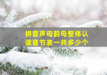 拼音声母韵母整体认读音节表一共多少个