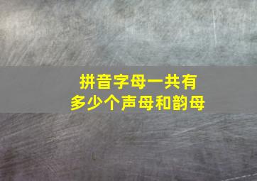 拼音字母一共有多少个声母和韵母