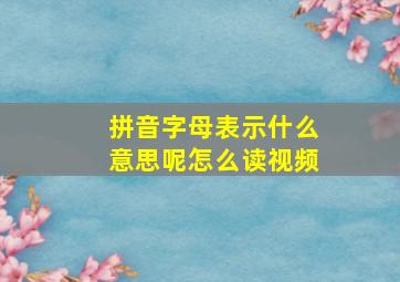 拼音字母表示什么意思呢怎么读视频