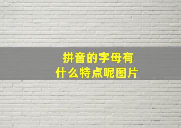 拼音的字母有什么特点呢图片