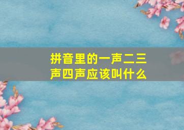 拼音里的一声二三声四声应该叫什么