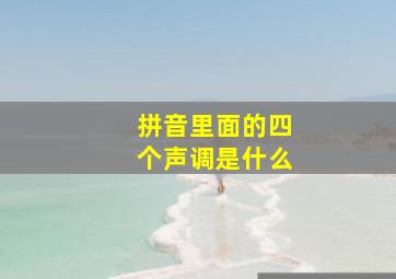 拼音里面的四个声调是什么