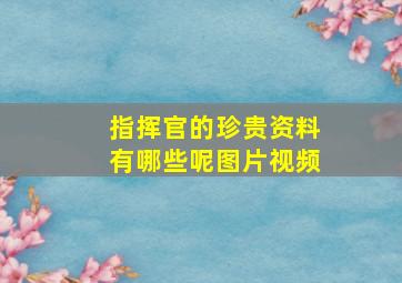 指挥官的珍贵资料有哪些呢图片视频