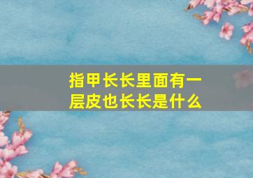 指甲长长里面有一层皮也长长是什么