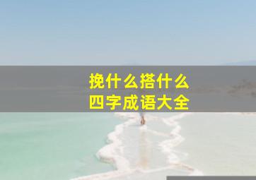 挽什么搭什么四字成语大全