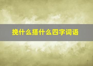 挽什么搭什么四字词语