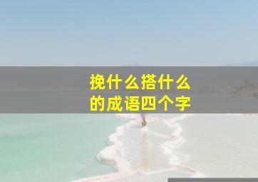 挽什么搭什么的成语四个字