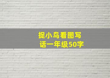 捉小鸟看图写话一年级50字