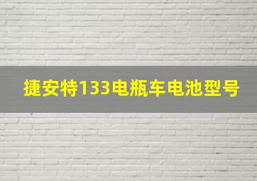 捷安特133电瓶车电池型号