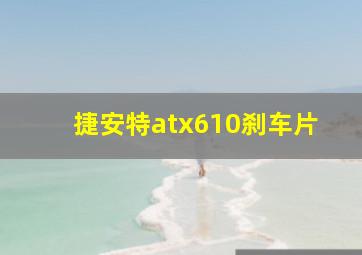 捷安特atx610刹车片