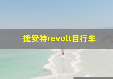 捷安特revolt自行车