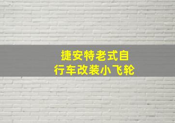 捷安特老式自行车改装小飞轮