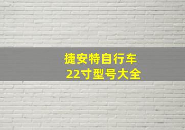 捷安特自行车22寸型号大全