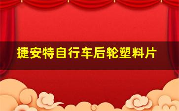 捷安特自行车后轮塑料片