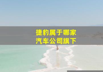 捷豹属于哪家汽车公司旗下