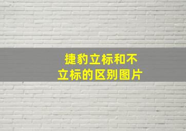 捷豹立标和不立标的区别图片