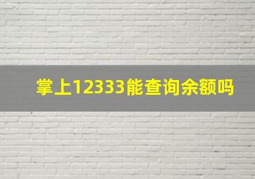 掌上12333能查询余额吗