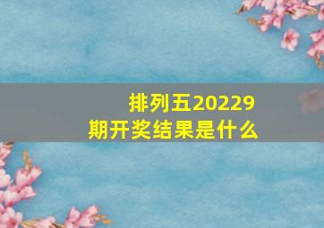 排列五20229期开奖结果是什么