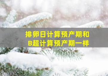 排卵日计算预产期和B超计算预产期一样