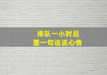 排队一小时后面一句说说心情