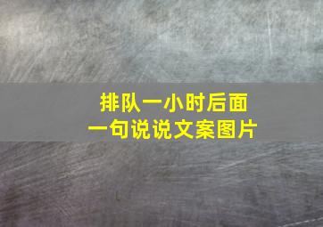 排队一小时后面一句说说文案图片