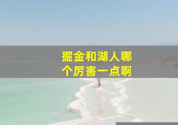 掘金和湖人哪个厉害一点啊