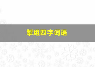 掣组四字词语