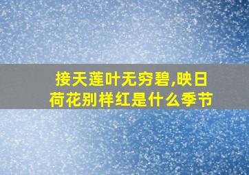 接天莲叶无穷碧,映日荷花别样红是什么季节