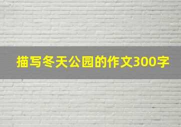 描写冬天公园的作文300字