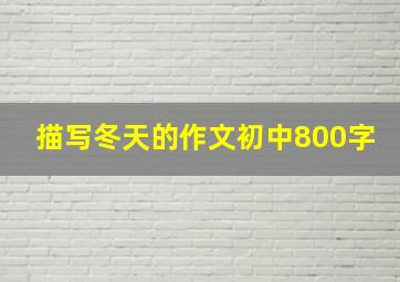 描写冬天的作文初中800字