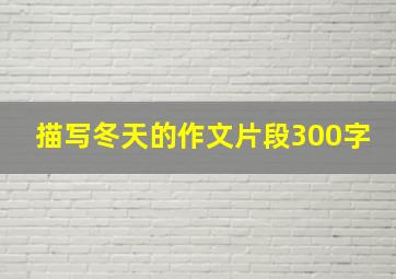 描写冬天的作文片段300字