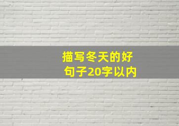 描写冬天的好句子20字以内