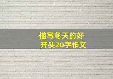 描写冬天的好开头20字作文