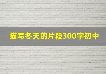 描写冬天的片段300字初中