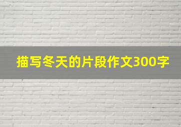 描写冬天的片段作文300字