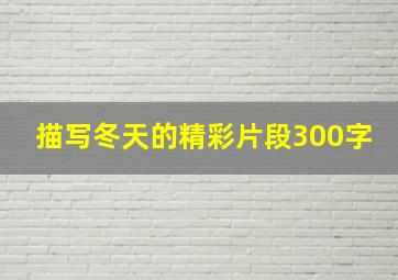 描写冬天的精彩片段300字