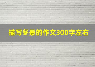 描写冬景的作文300字左右