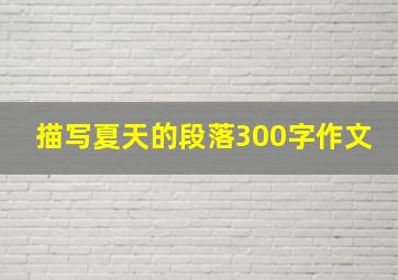 描写夏天的段落300字作文