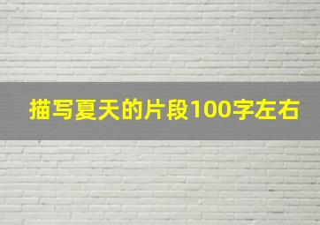 描写夏天的片段100字左右