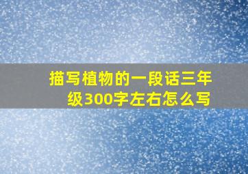 描写植物的一段话三年级300字左右怎么写