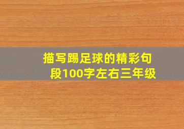 描写踢足球的精彩句段100字左右三年级