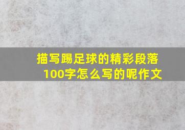 描写踢足球的精彩段落100字怎么写的呢作文