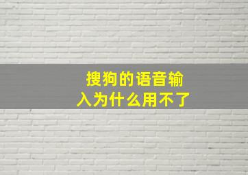 搜狗的语音输入为什么用不了